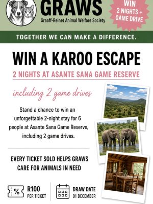 Win a Karroo Escape